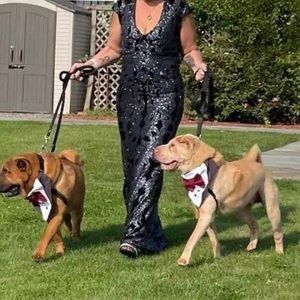 Meet your Posher, Jill